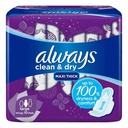 [0100007080] ALWAYS PURPLE 10PC