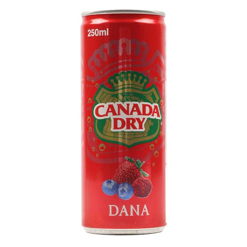 CANADA DRY DANA SODA 250ML