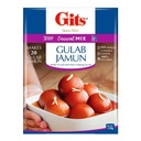 [0100002393] GITS GULAB JAMUN MIX 100GM