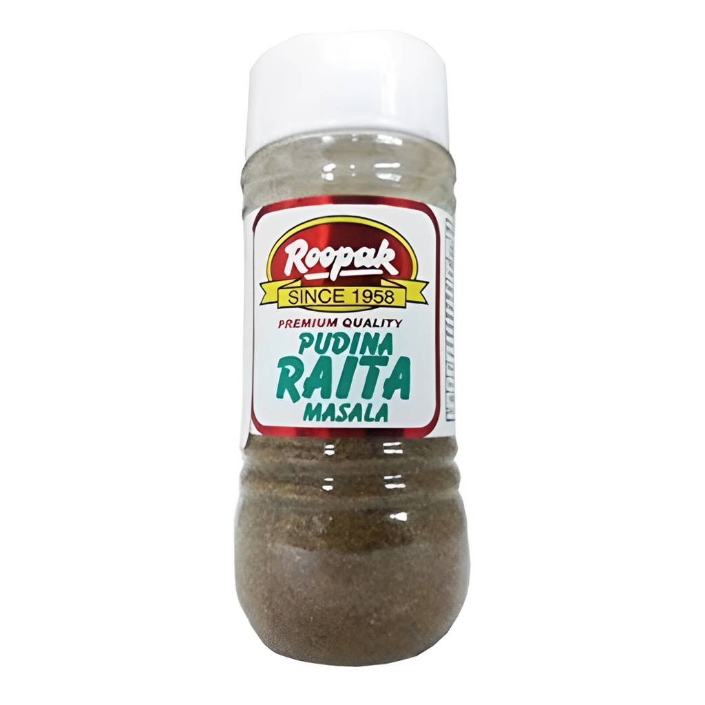ROOPAK PUDINA RAITA MASALA 100GM