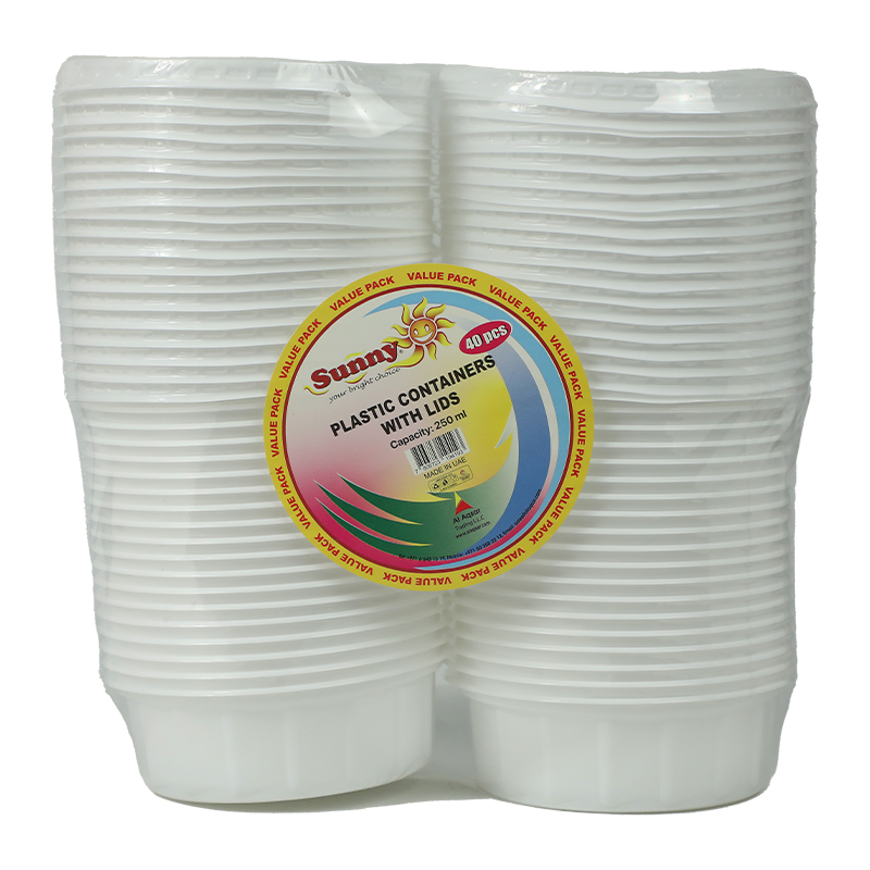 SUNNY PLASTIC CONTAINERS W/LIDS 2X250ML
