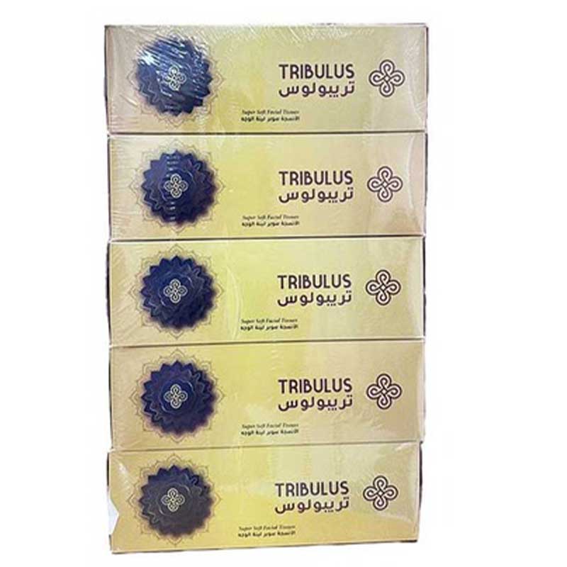 TRIBULUS FACIAL TISSUE 5X2X200PLY