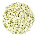 [0100021959] FRESH FLOWER JASMINE BUNCH