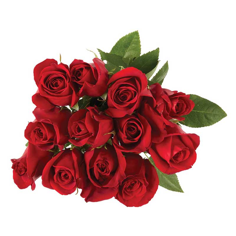 RUBA ROSE /Kg