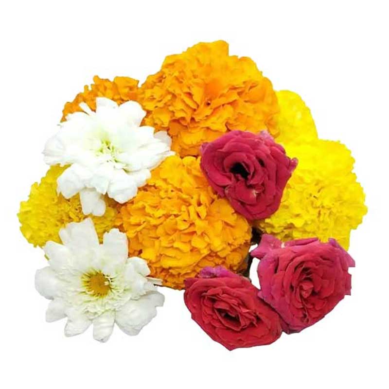 FRESH FLOWER MIX KG
