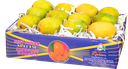 [0100011353] RTC ALPHONSO MANGO M 12PCS