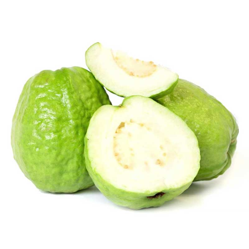 GUAVA BIG