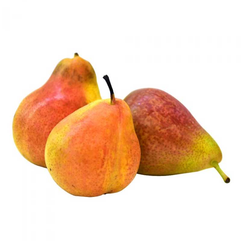 PEARS ROSE MARRY