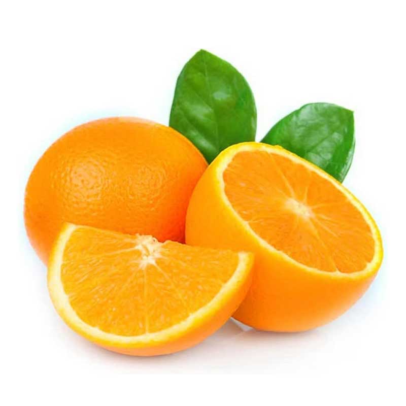 VALENCIA KG