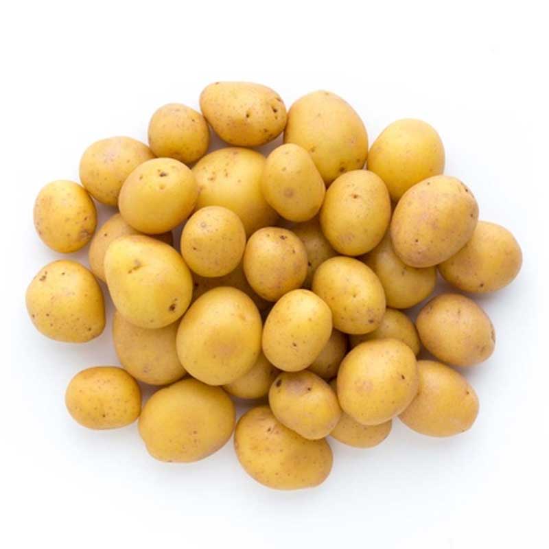 BABY POTATO WHITE