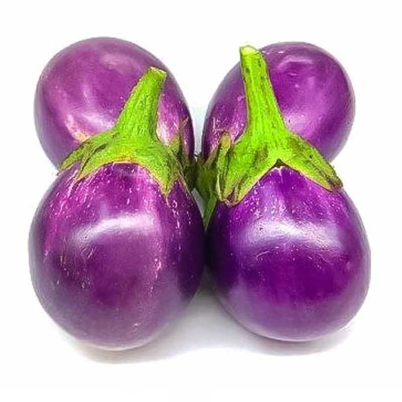 PINK EGGPLANT(AV)