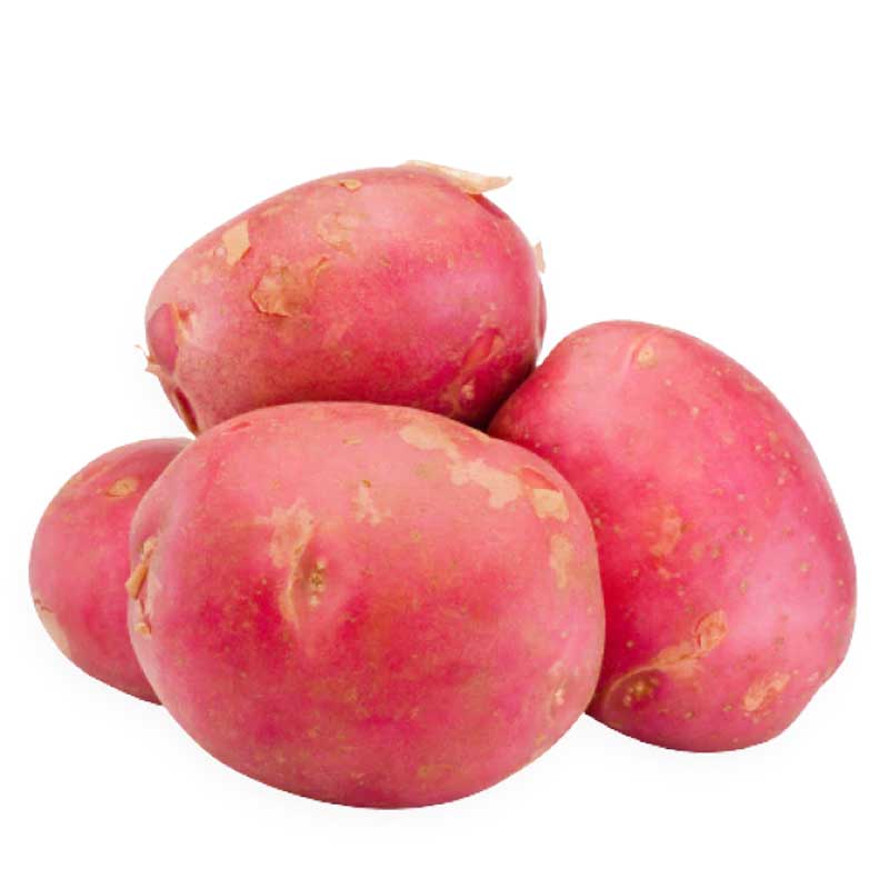 POTATO RED