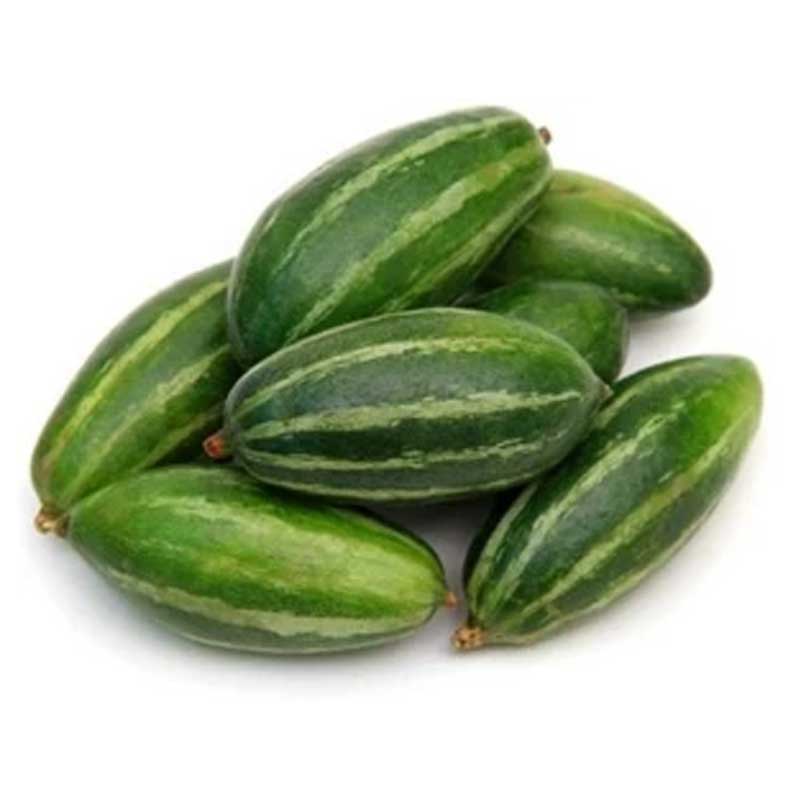 POTTOL