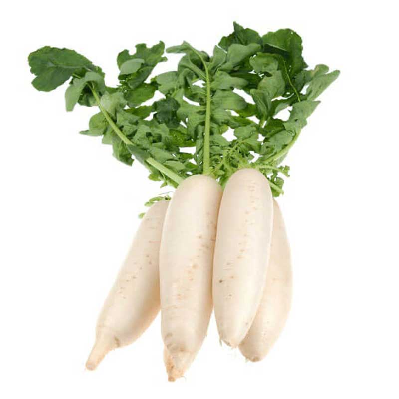RADISH CH