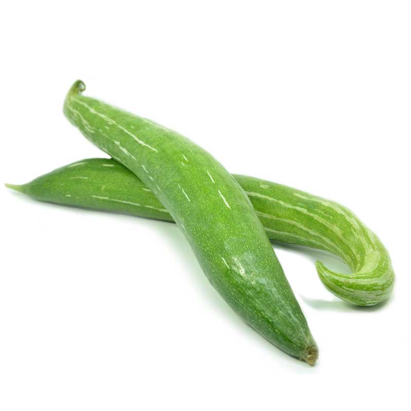 SNAKE GOURD IND