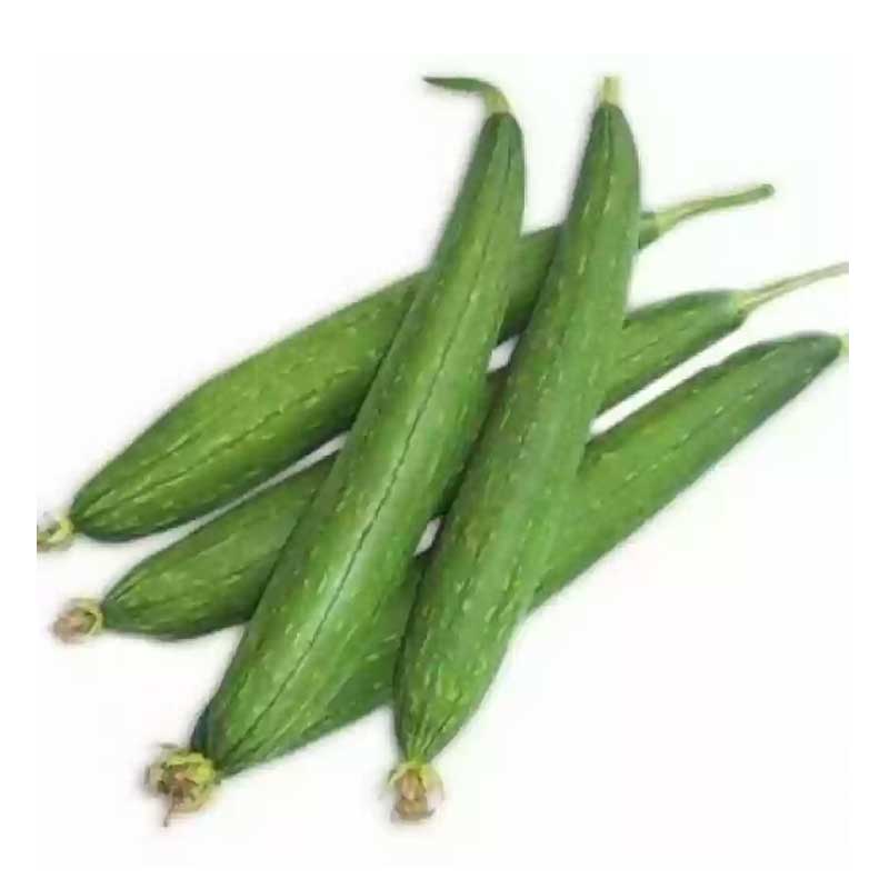 SPONGE GOURD (TURAI)