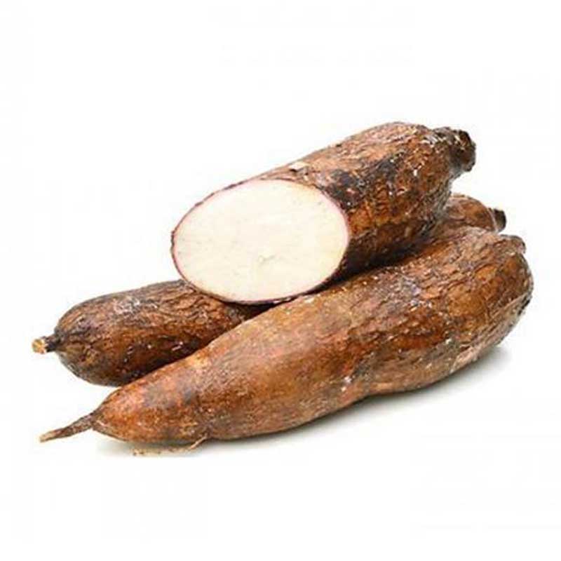TAPIOCA