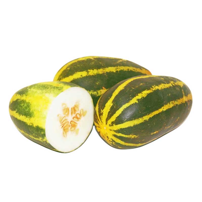 GOLDEN CUCUMBER VELLARY