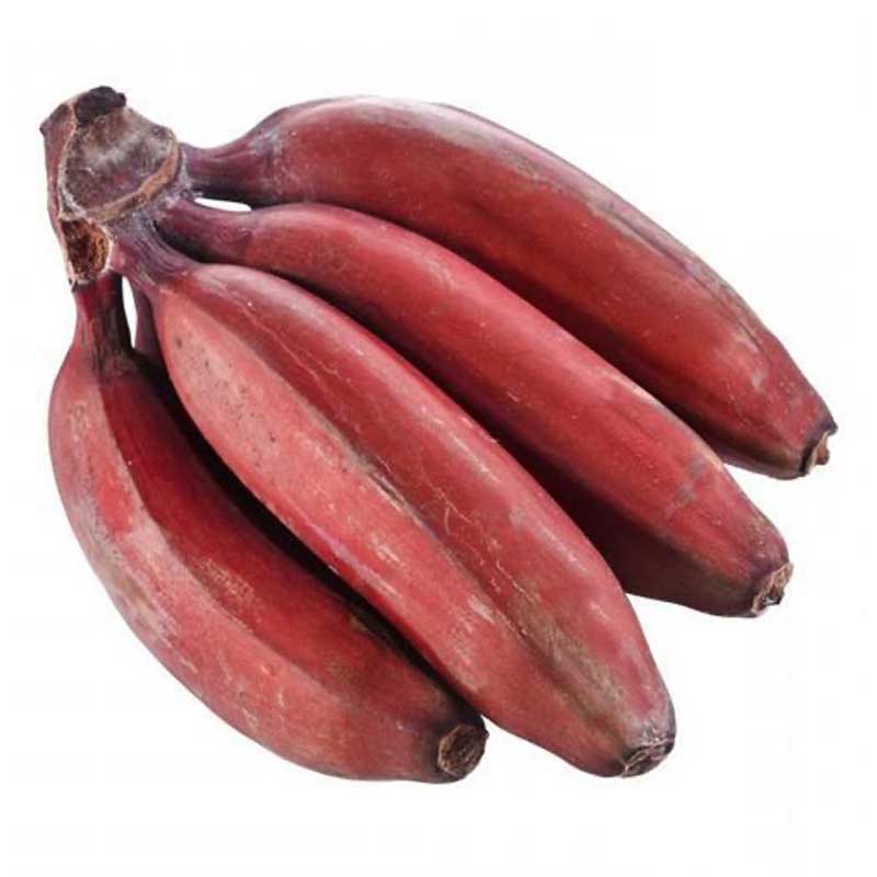 BANANA RED POOVAN