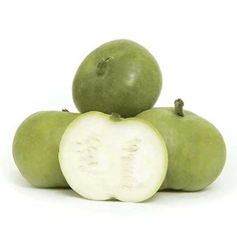 RUBA TINDA (APPLE GOURD)