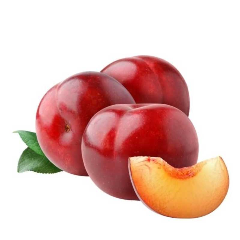 PLUMS RED INDIA