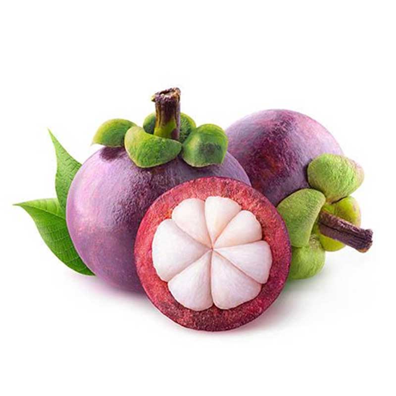 MANGOSTEEN PKT