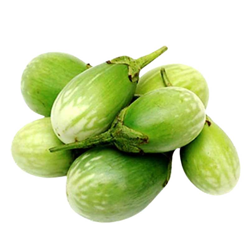 BBC EGGPLANT