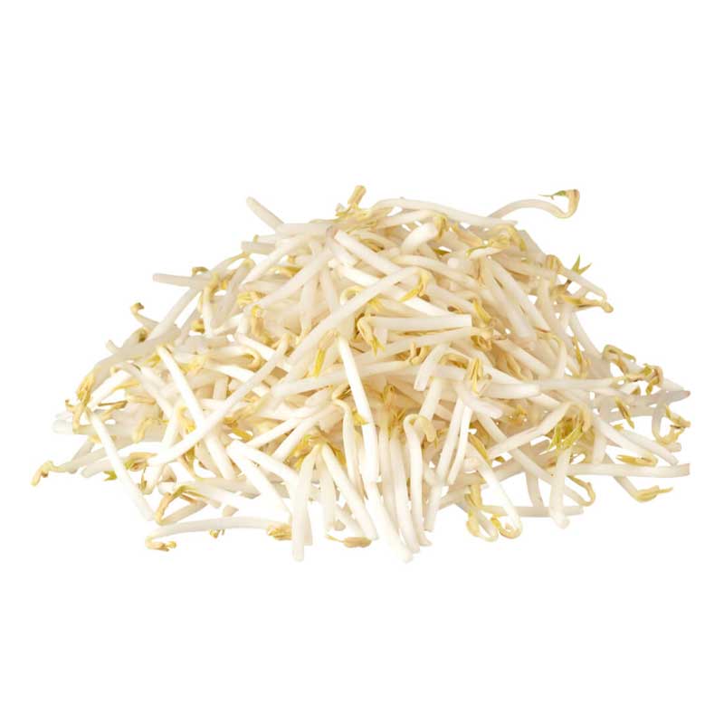 BEANS SPROUT