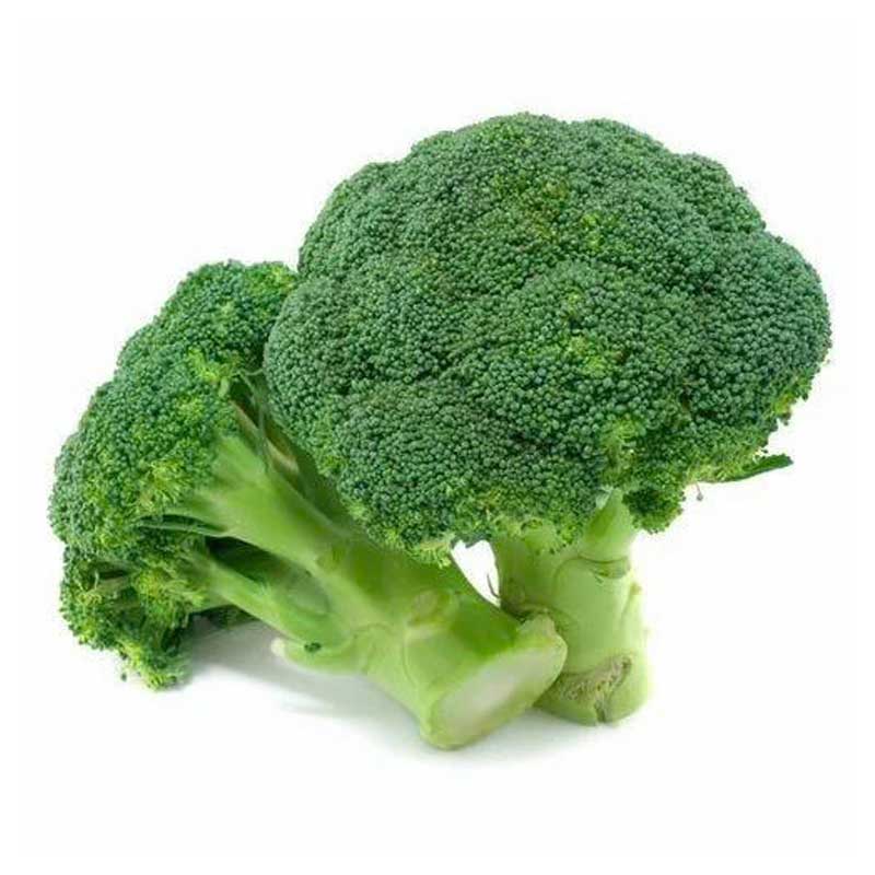 BROCCOLI KG
