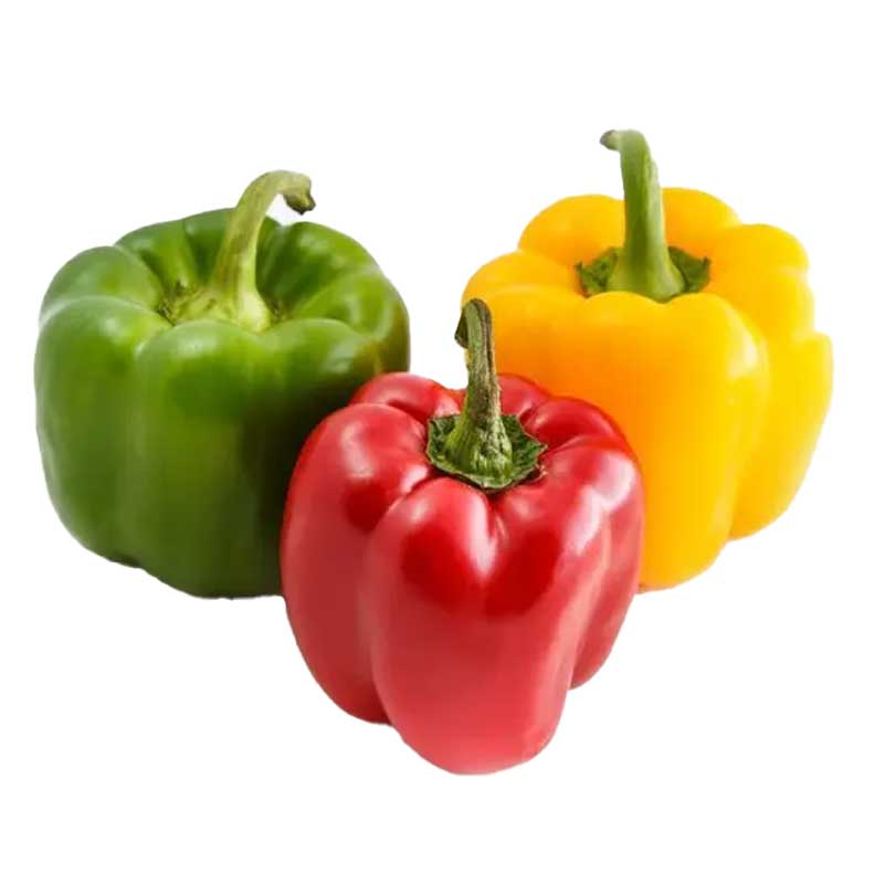CAPSICUM MIX 3COLOUR