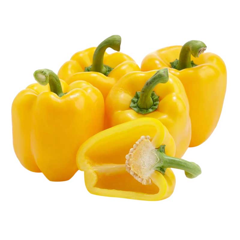 CAPSICUM YELLOW