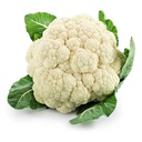 [0100021826] CAULIFLOWER