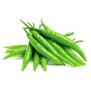 [0100021835] CHILLY OMAN