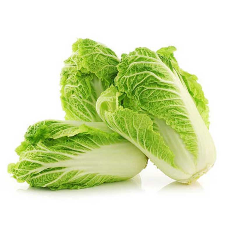 CHINESE CABBAGE