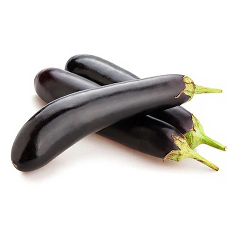 EGG PLANT LONG