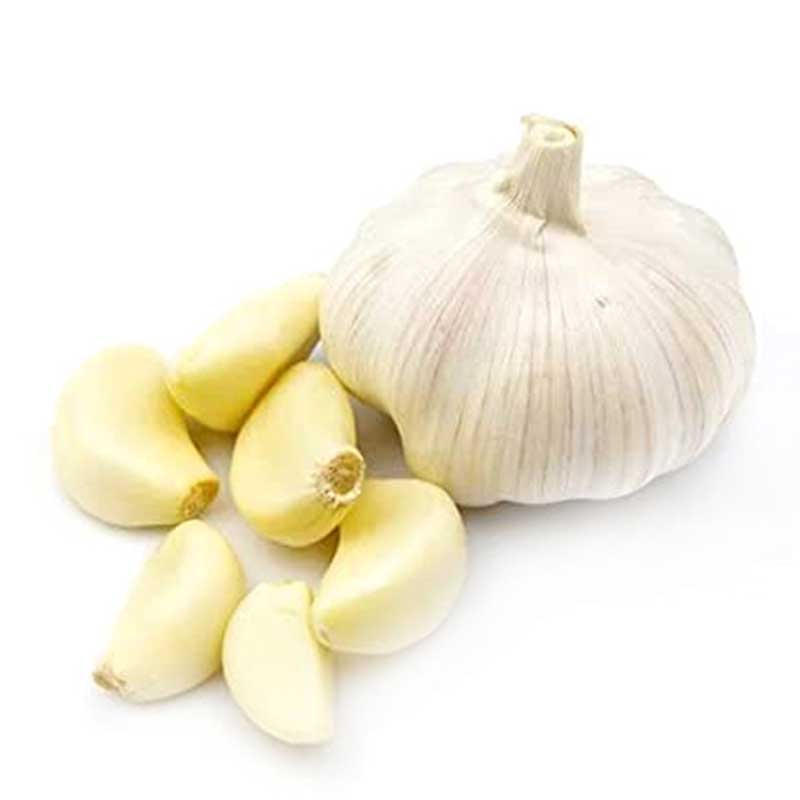 GARLIC IND