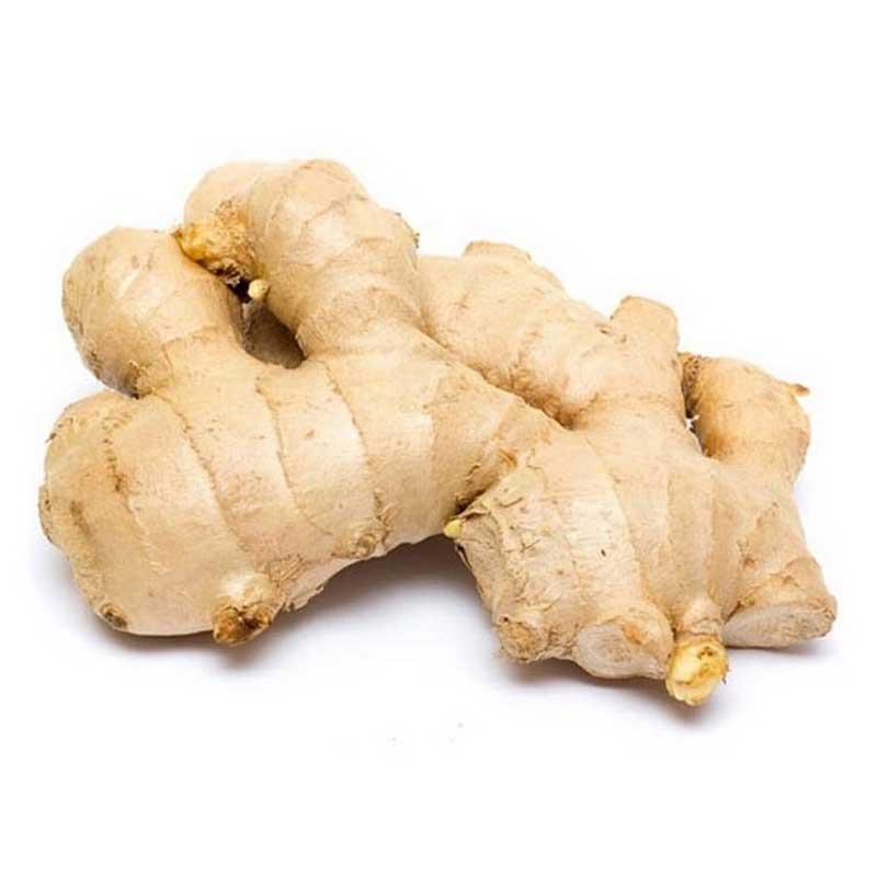 GINGER CHINA