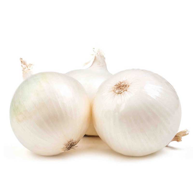 ONION WHITE