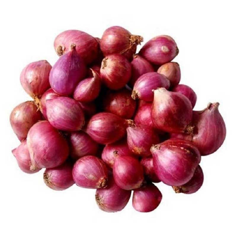 SMALL ONION