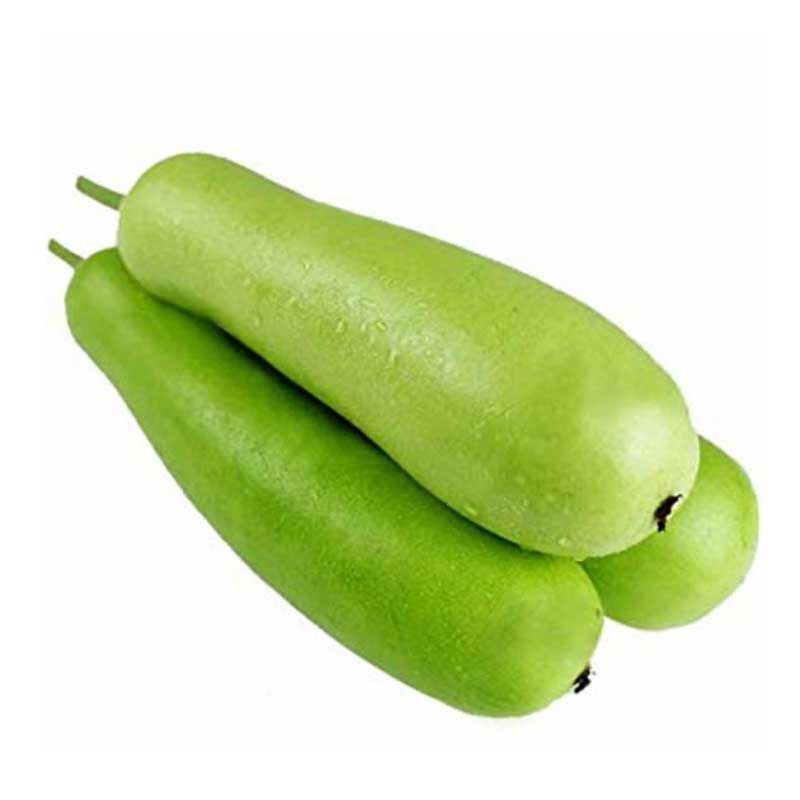 BOTTLE GOURD LAUKI KGS