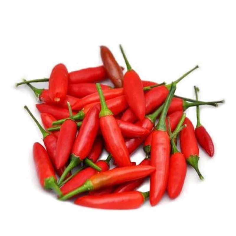 CHILLY BIRD EYE RED /PKT