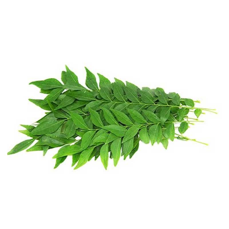 CURRY LEAVES