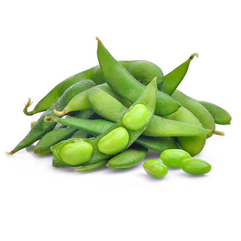 SOYA BEANS