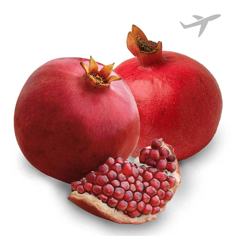 RUBA  ANAR INDIA KGS