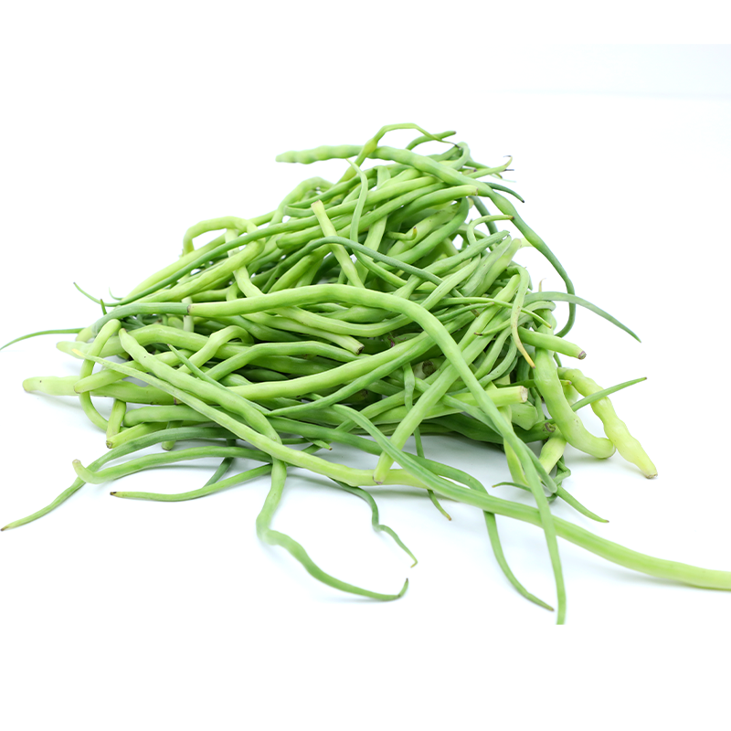 RUBA GREEN MOGRA INDIA AIR