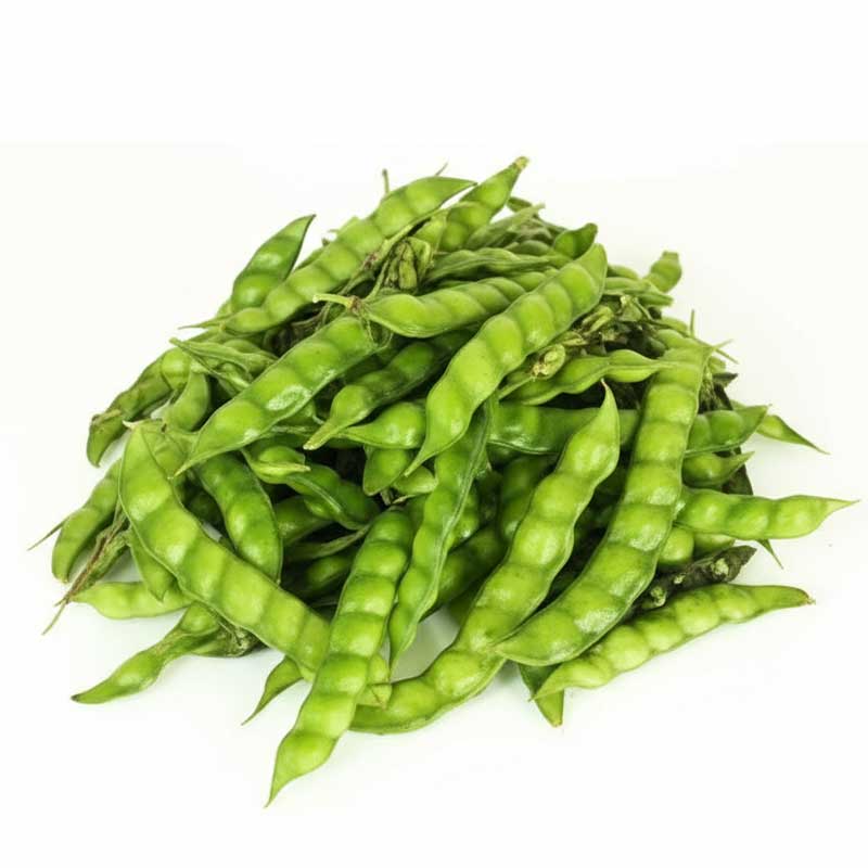 RUBA TUVAR INDIA (AIR)