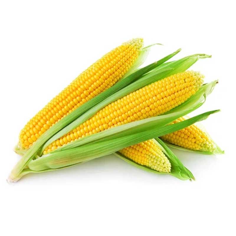 RUBA SWEET CORN INDIA (AIR)