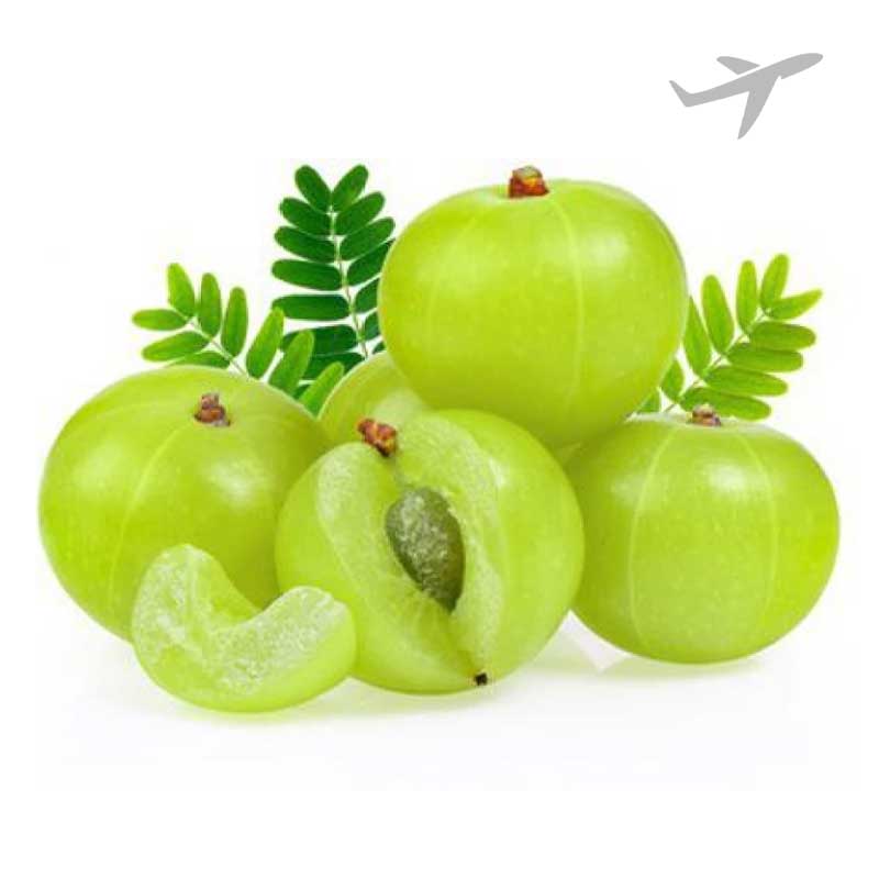 RUBA AMLA INDIA (AIR)