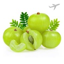 [0100026537] RUBA AMLA INDIA (AIR)
