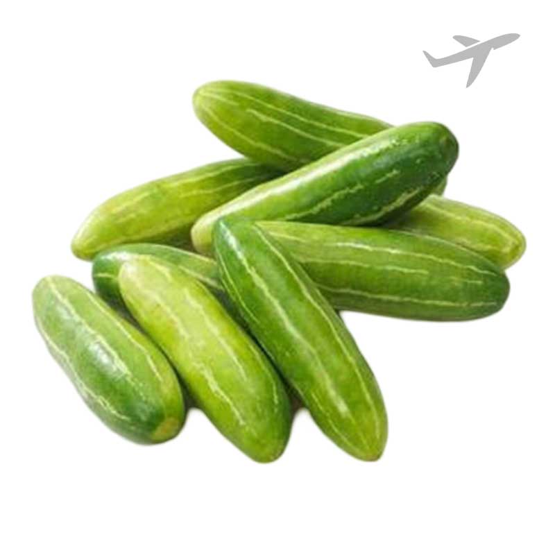 RUBA TINDLI INDIA (AIR)